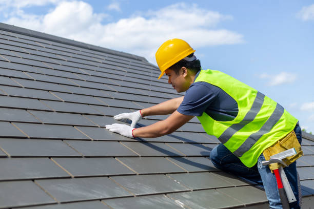 Best Roof Gutter Cleaning  in Lakes East, CT